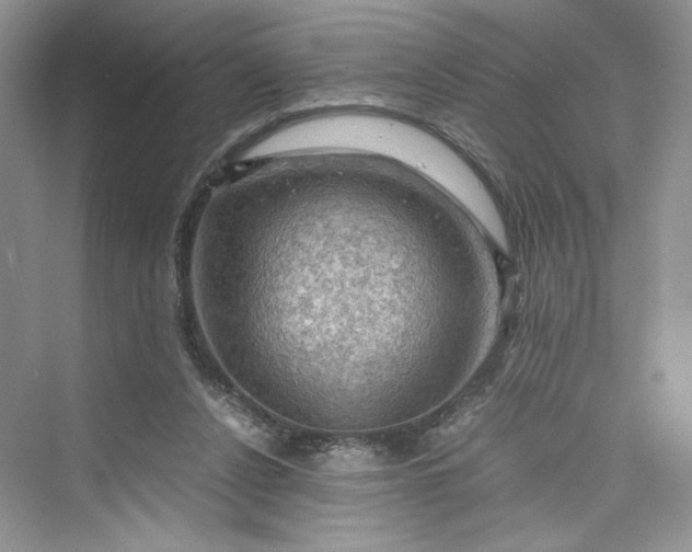 X0000075820256200609291418