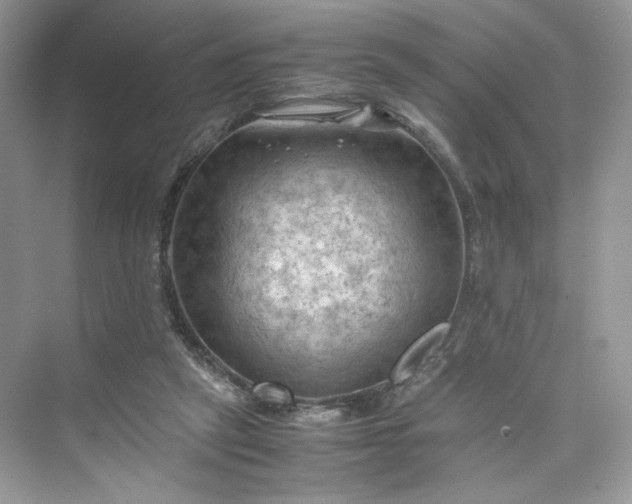 X0000075820257200609291418