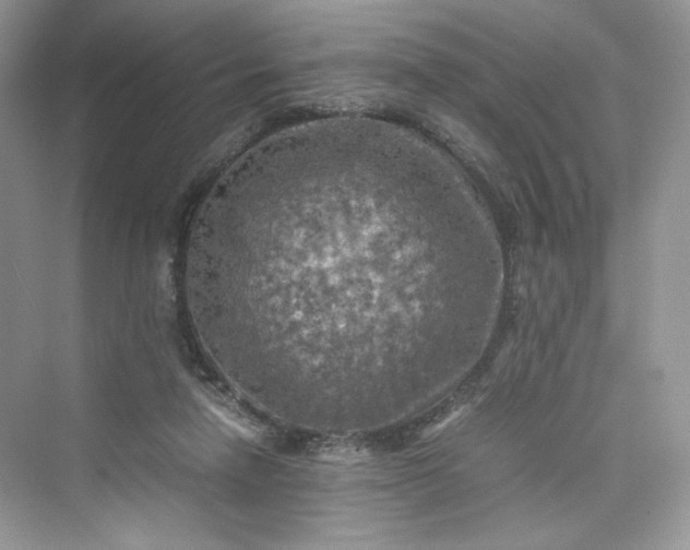 X0000075820258200609291418