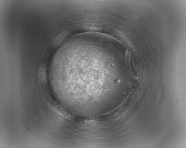 X0000075820259200609291418