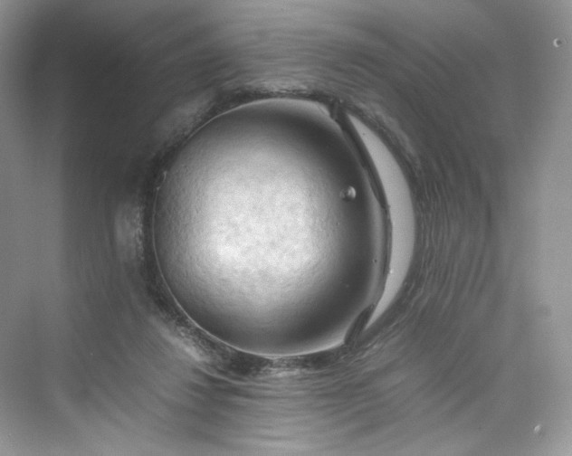 X0000075820260200609291418