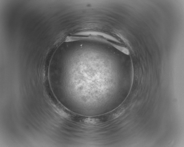 X0000075820261200609291418