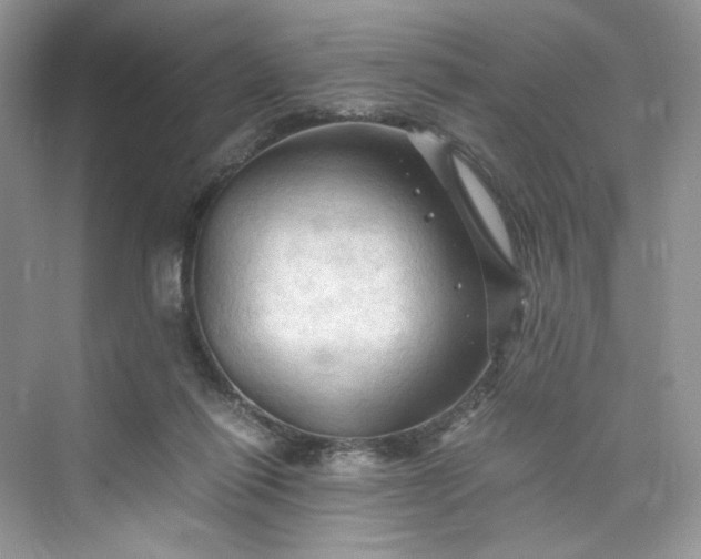 X0000075820262200609291418