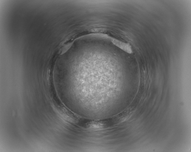 X0000075820263200609291418