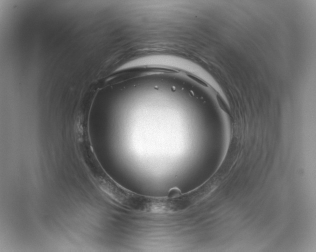 X0000075820264200609291418