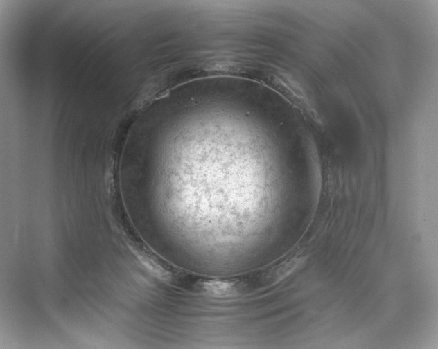 X0000075820265200609291418