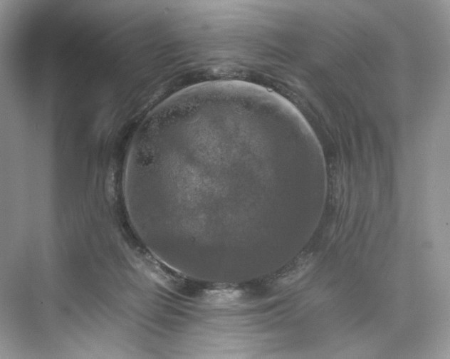 X0000075820266200609291418