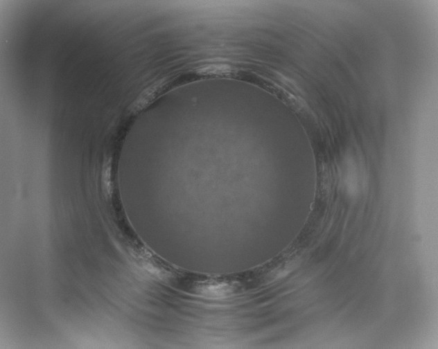 X0000075820267200609291418