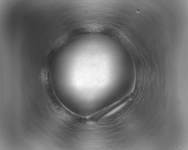 X0000075820268200609291418