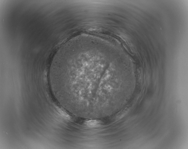 X0000075820269200609291418