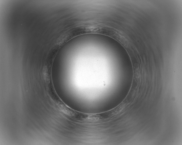 X0000075820270200609291419