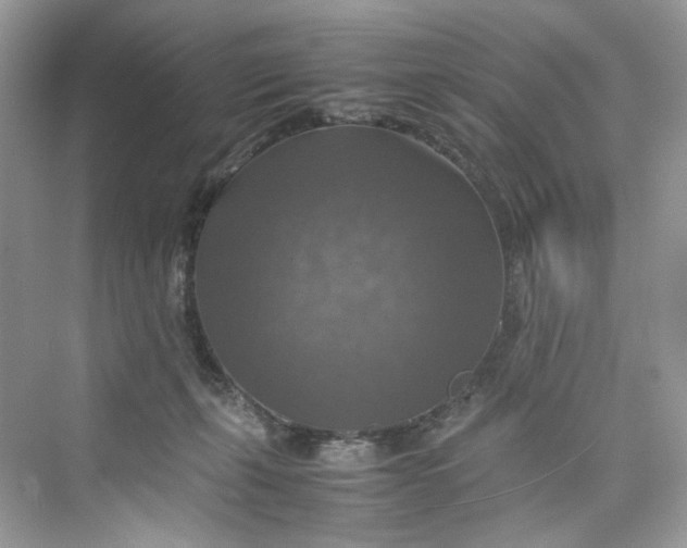 X0000075820271200609291419