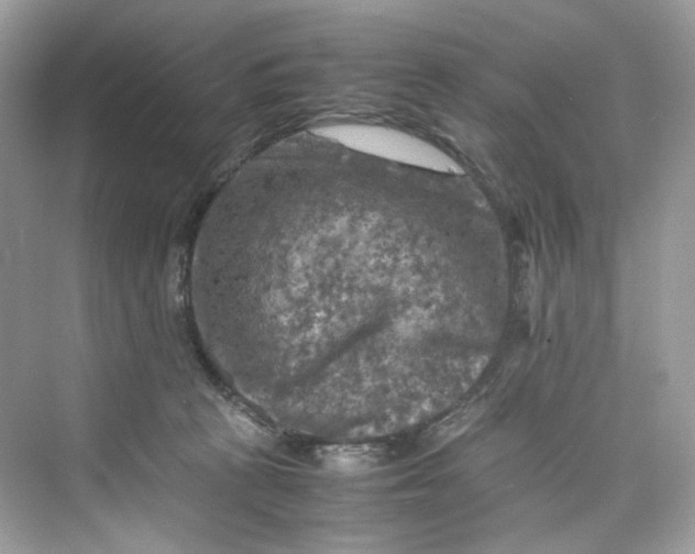 X0000075820273200609291419