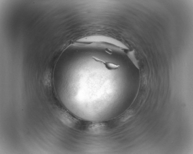 X0000075820274200609291419