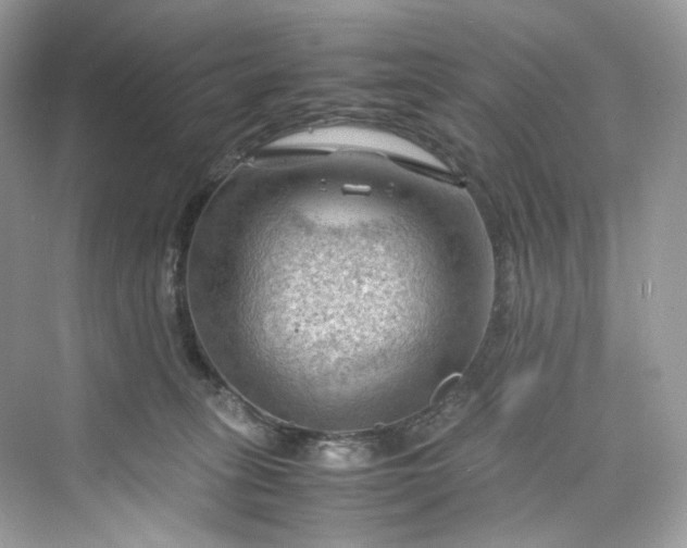 X0000075820275200609291419