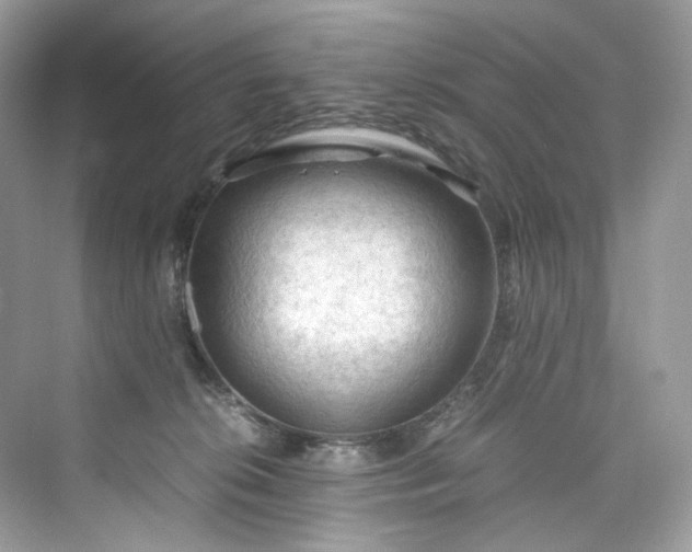 X0000075820276200609291419