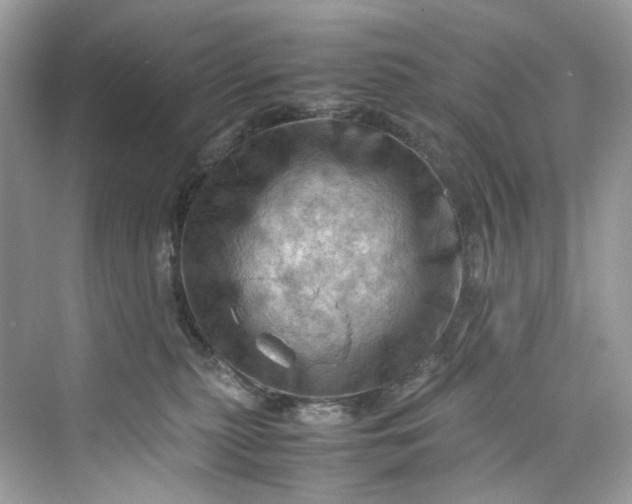 X0000075820279200609291419