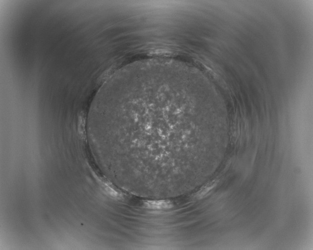 X0000075820281200609291419