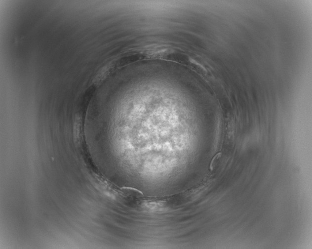 X0000075820283200609291419