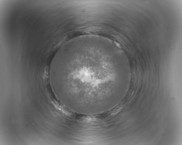 X0000075820284200609291419