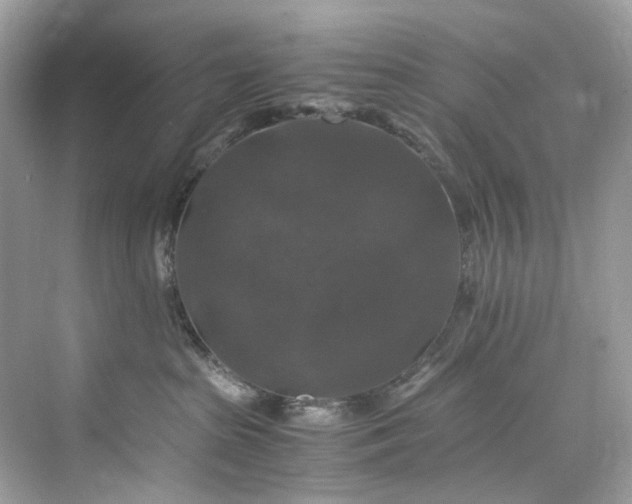 X0000075820285200609291419