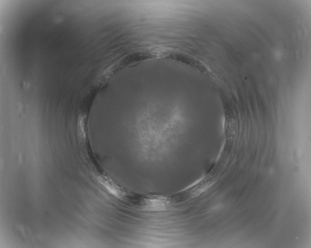 X0000075820286200609291419