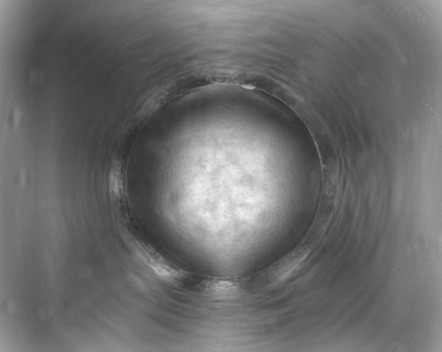 X0000075820287200609291419