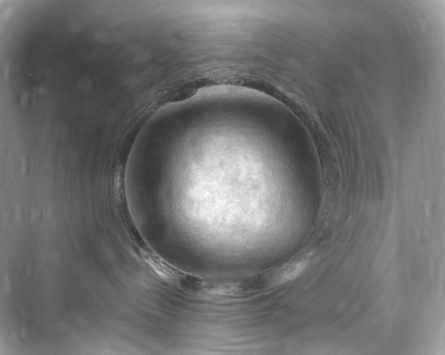 X0000075820288200609291419