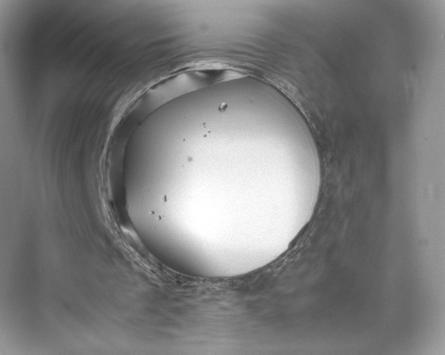 X0000075820289200609291418