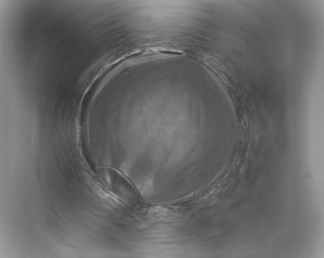 X0000075820290200609291418