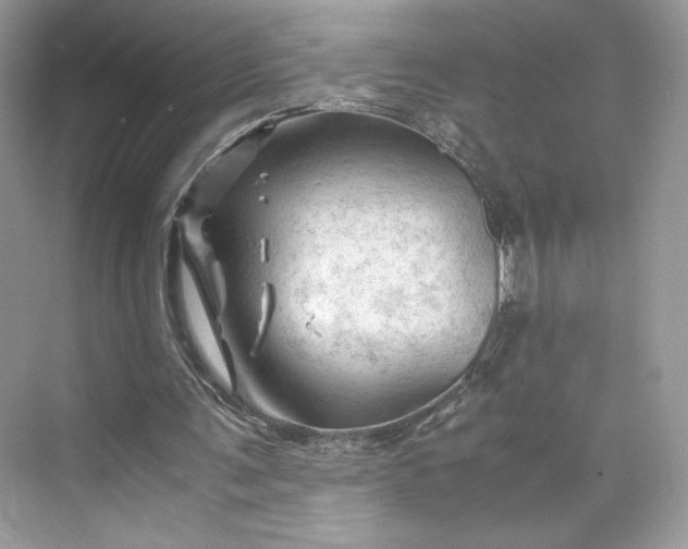 X0000075820291200609291418