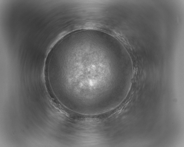 X0000075820292200609291418