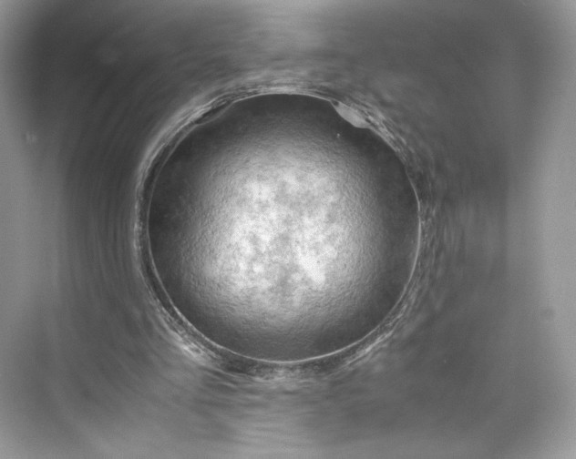 X0000075820293200609291418