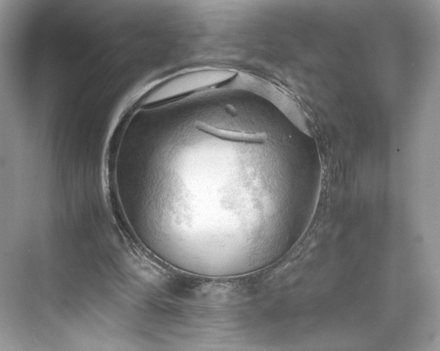 X0000075820294200609291418