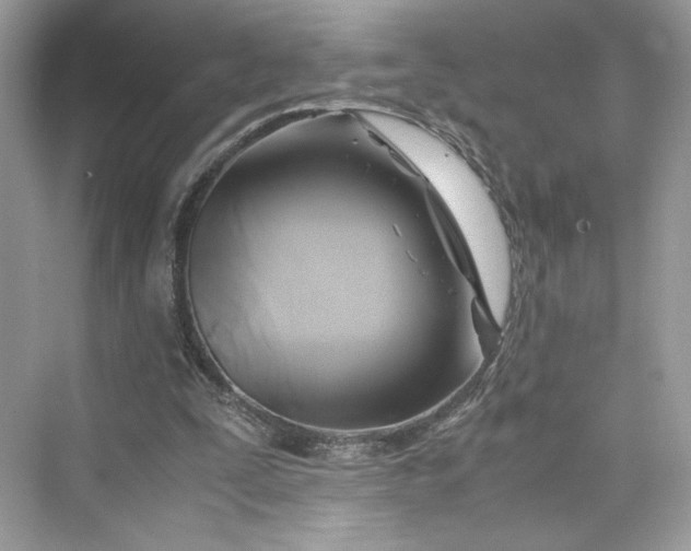 X0000075820295200609291418