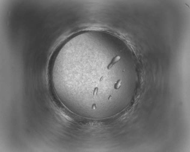 X0000075820296200609291418