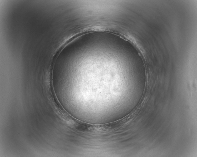 X0000075820297200609291418