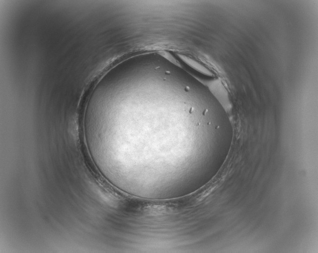 X0000075820298200609291418