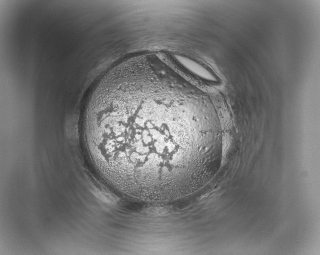 X0000075820299200609291418