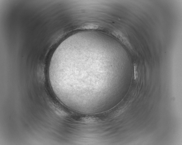 X0000075820300200609291418