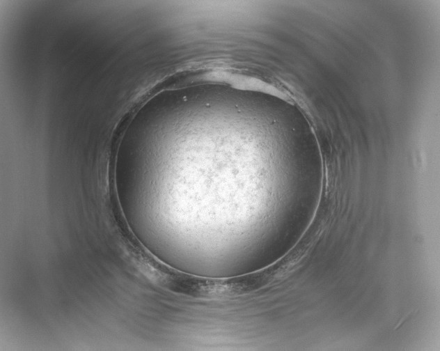 X0000075820301200609291418