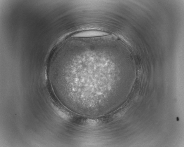 X0000075820302200609291418