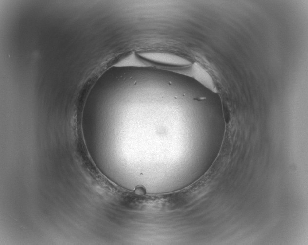 X0000075820306200609291418