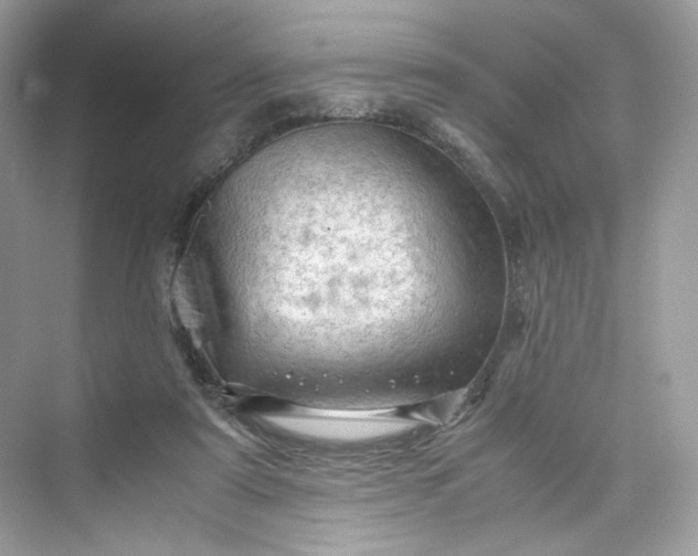 X0000075820307200609291418