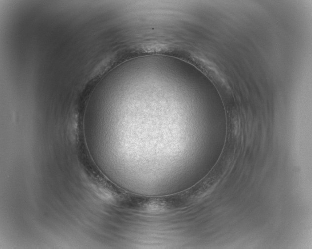 X0000075820308200609291418