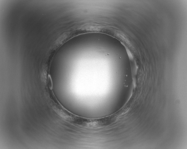 X0000075820309200609291418