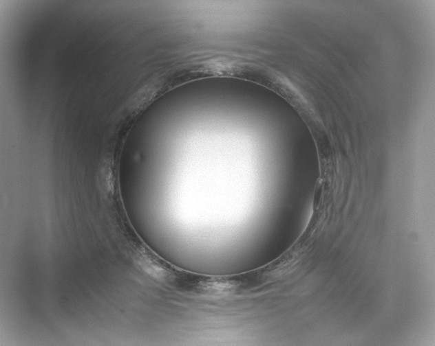 X0000075820313200609291418