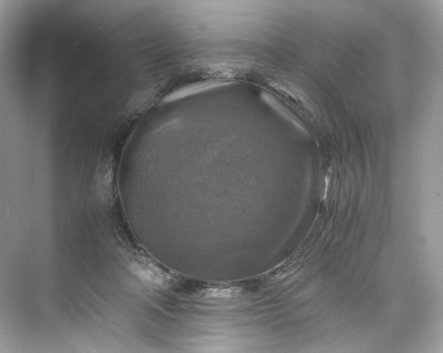 X0000075820314200609291418