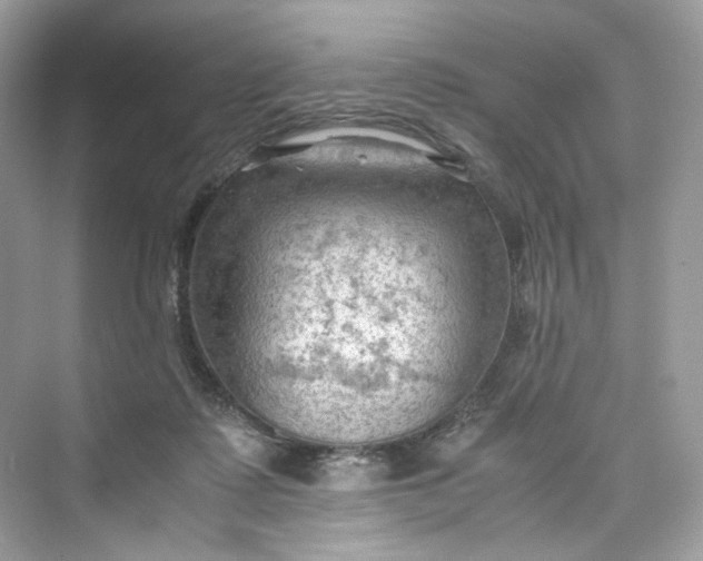 X0000075820315200609291418