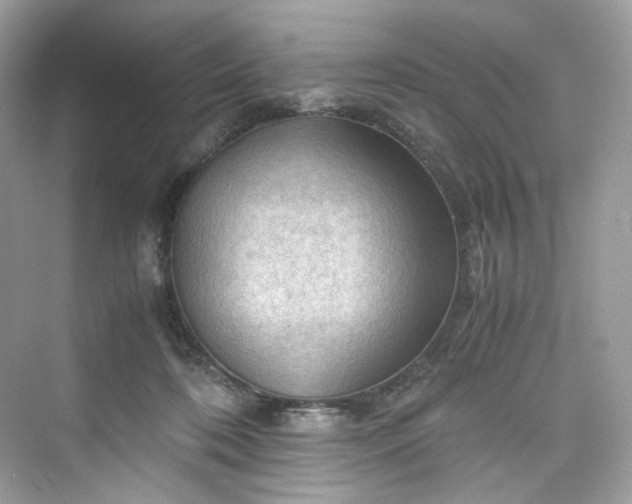 X0000075820316200609291418